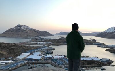 Where Have You Been?