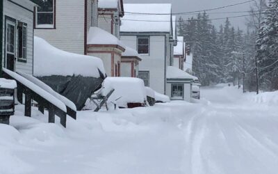 Snow on Snow on Snow