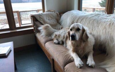 A Little Lightness of Being