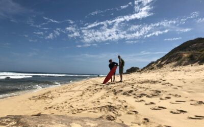 Exceeded Expectations and Still Expecting