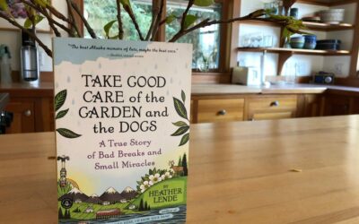 Thank You, the Final Chapter (for now) (& a little news, too.)