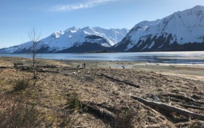 Compassion, Community & Creativity