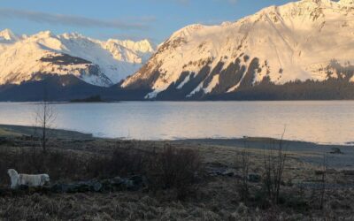 Good Morning (Well it is here, anyway.)