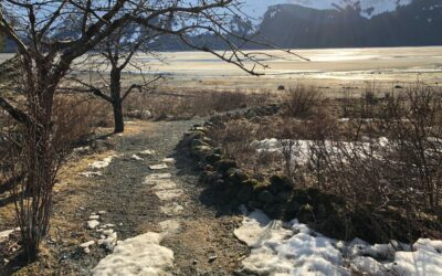 A New Video, Chapter 3… There’s a Story