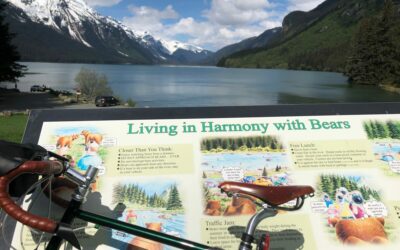 The News from Here isn’t Dull, Anyway.