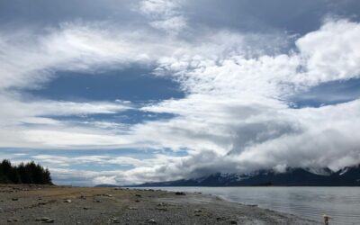 Sunday’s… Video. (It’s short.)