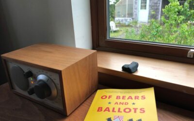 Of Bears and Ballots is Coming Soon