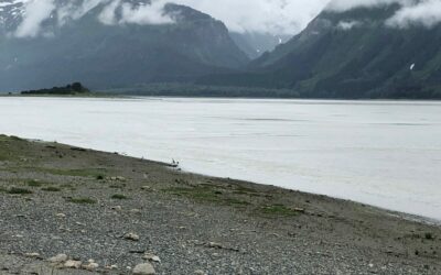 Summertime and the Living is …Different