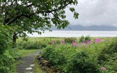 Of Squirrels and Women