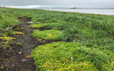 Change in the Weather