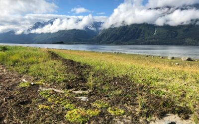 Thank You, You Did Good!