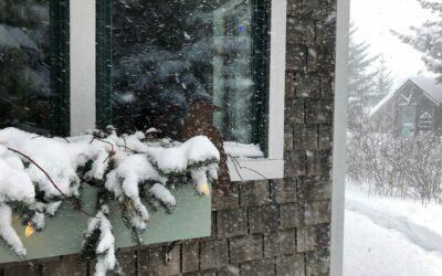 On The Fifth Day of Christmas