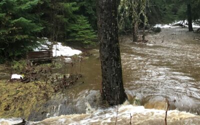 State of Emergency in Haines. Floods and Landslides.