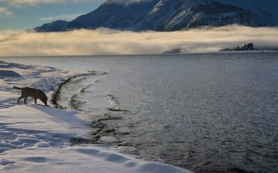 That Recipe and Title You Asked About