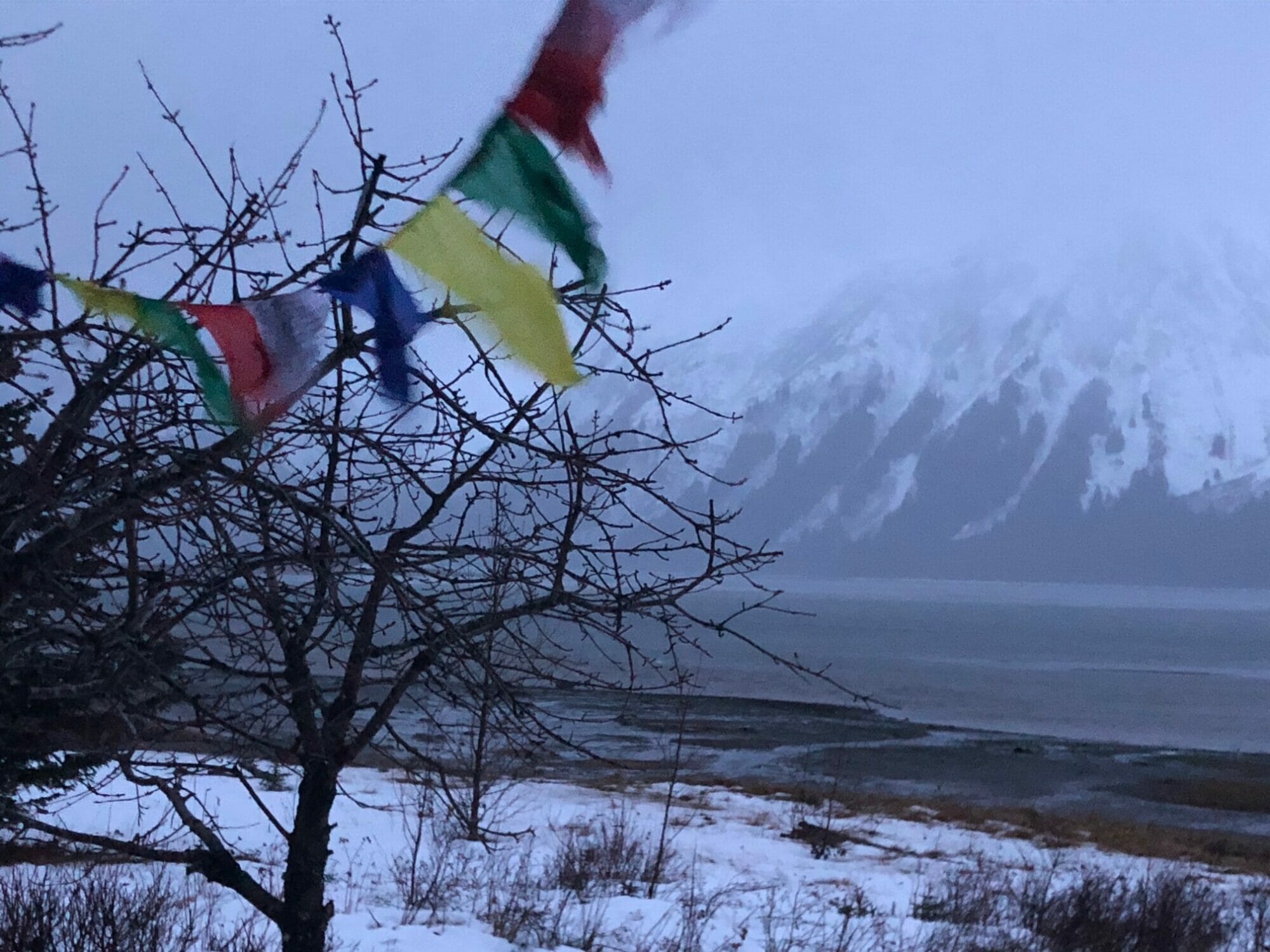 The First of December is Covered with Rain | Heather Lende