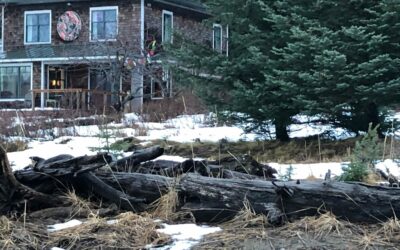 Tidying Up Is Always a Good Idea