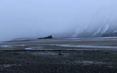 A Post Card for January 7