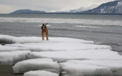 Wednesday’s Thought(s)