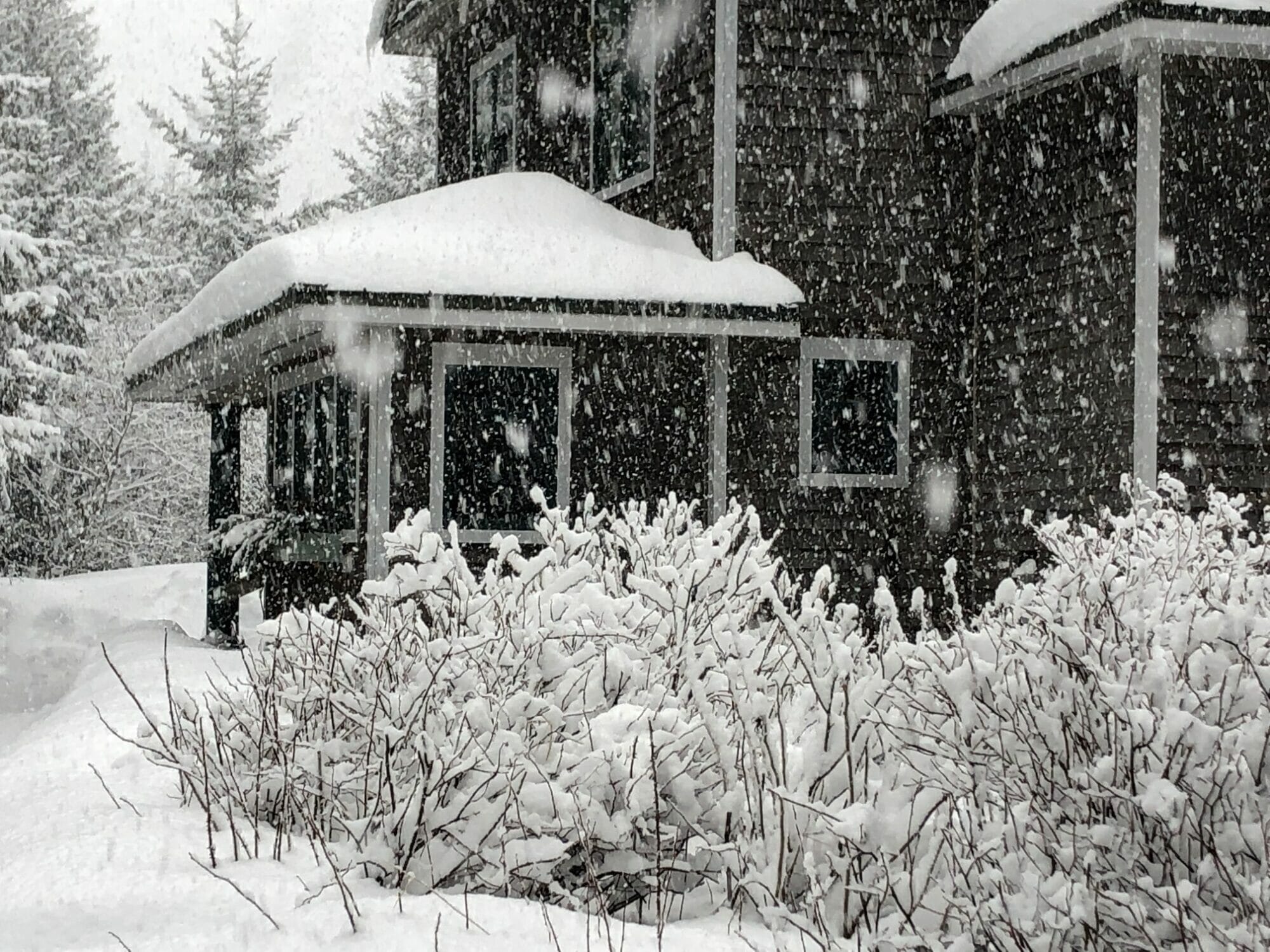 Luck and a Snowstorm | Heather Lende