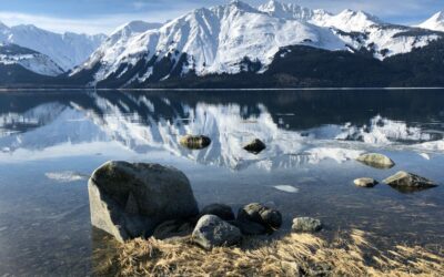 The Calm Before the Storm