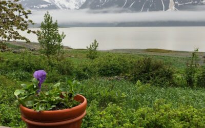 One Way to Start the Day