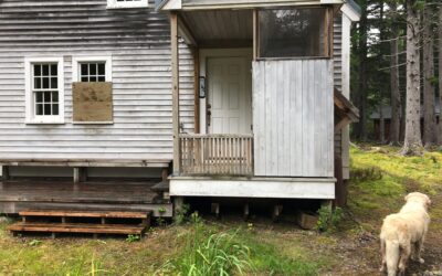 Of Bears and Burglars