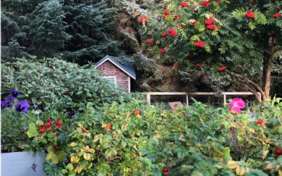 A Little Sept. Post Card