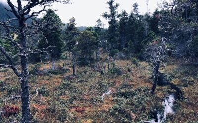 In the Spirit of September