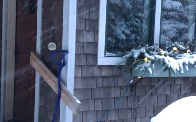 Snow and More Snow and Life