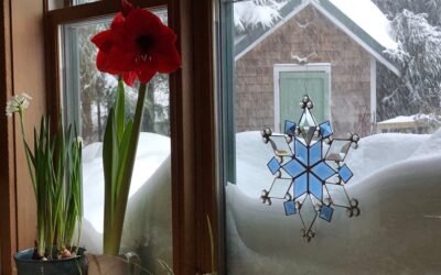 Happy Winter Storm Warning Monday