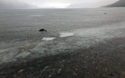 Sunday’s Thought(s)