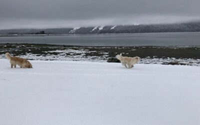 Wednesday’s Thought?