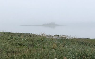 Under the Weather? Sort Of.