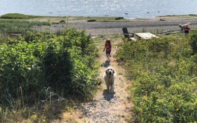 Summer Vacation Post Card