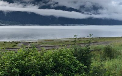 Attentive August Abundance