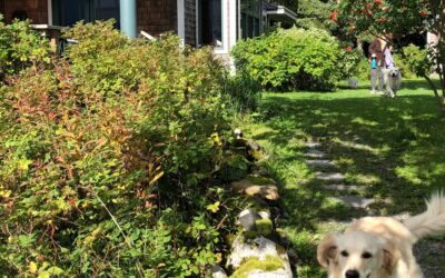 Change in the Weather