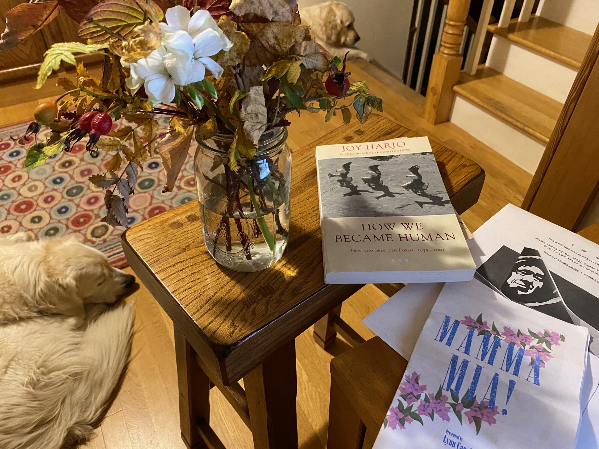 Desk scene Heather Lende