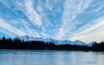 Three Days to Christmas Post Card