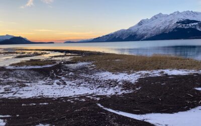 December 4th Sunday’s Thought