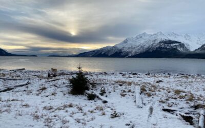 On the 12th Day of Christmas