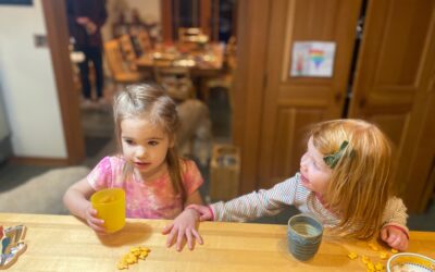 A New Year’s Thought