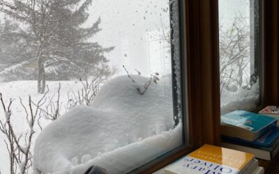 Haines Police: “Stay Home”