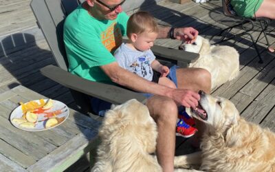 “Just  Post a Picture of Henry,”