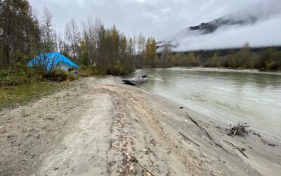 A Really Good Moose Hunt