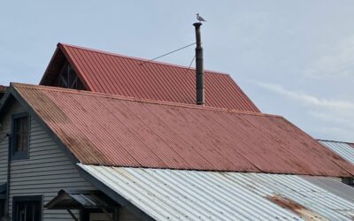 Nov 18 Tenakee Springs