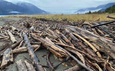 November 6 on the Chilkat