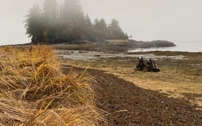 Nov. 17 Tenakee Inlet Fog