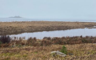 November 25 Foggy and Full