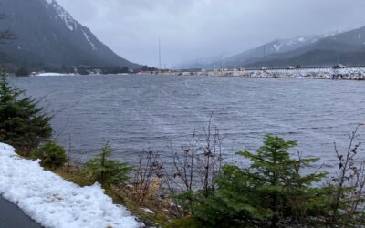 Nov 21 in Rainy Juneau