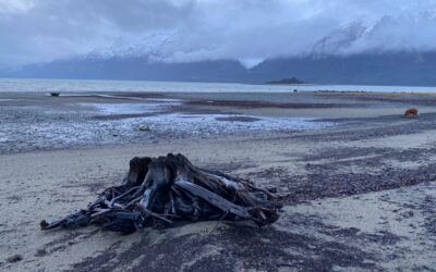 Nov 11 Veteran’s Day on the Chilkat